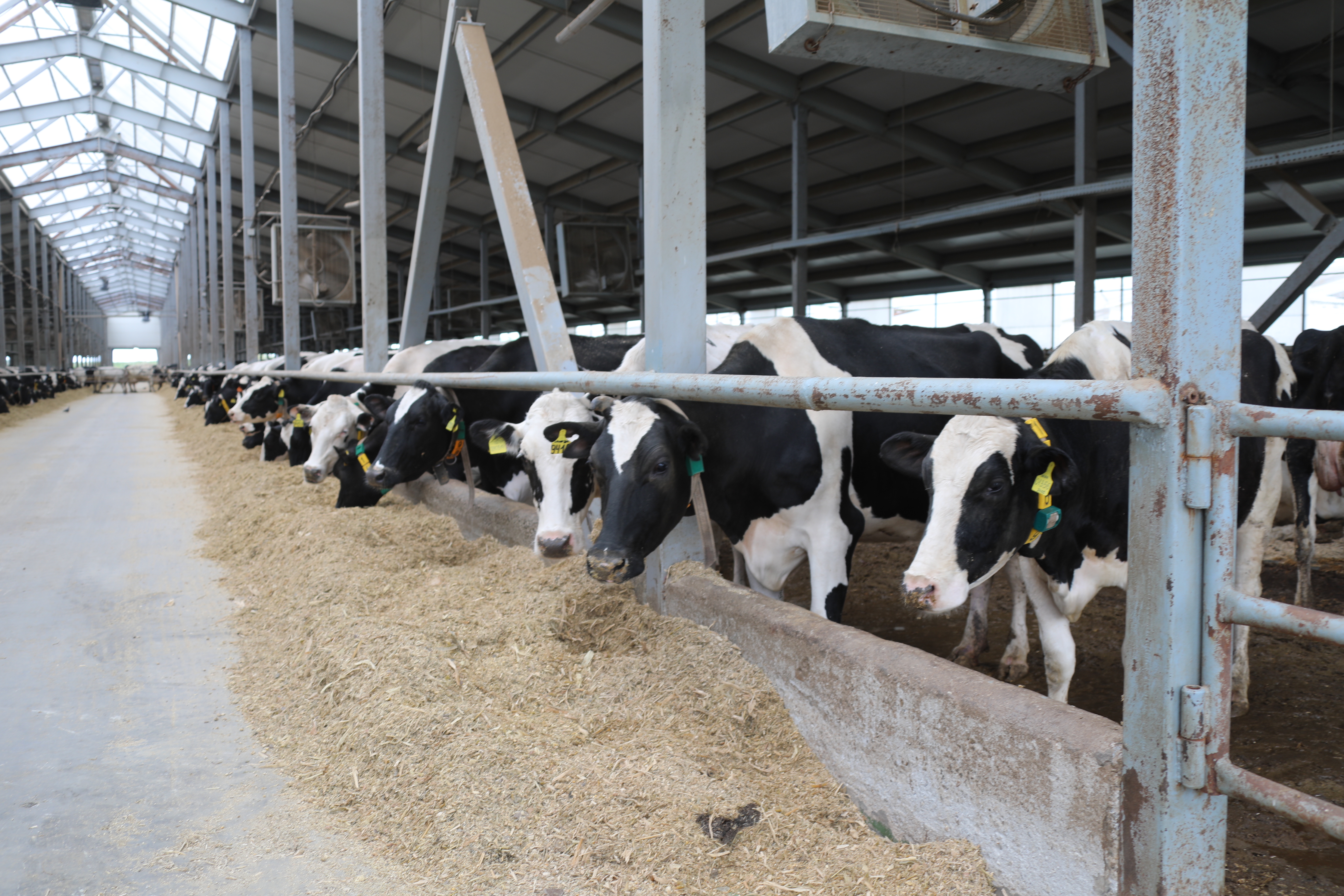 За пять лет общая сумма льгот по единому сельскохозяйственному налогу составила порядка 900 миллионов рублей