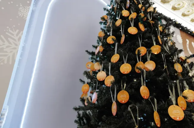 Всероссийская благотворительная акция «Елка желаний» стартовала в Челябинской области