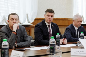 Комитет Законодательного Собрания по экологии и природопользованию рассмотрел информацию об исполнении в 2022 году государственной программы Челябинской области «Зеленый город»