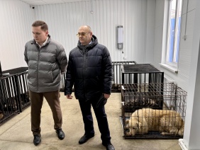 Владислав Уланов проверил исполнение закона об ответственном обращении с животными