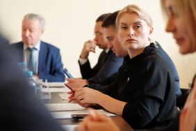 Заседание комитета по законодательству, государственному строительству и местному самоуправлению