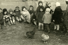 Эвакуированные ленинградские дети в подсобном хозяйстве Кировского завода (г. Челябинск). 1943 г. Из фондов ОГАЧО.