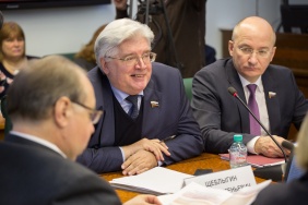 Первые расширенные заседания комитетов прошли в рамках Дней Челябинской области в Совете Федерации