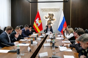 Заседание комитета Законодательного Собрания по молодежной политике