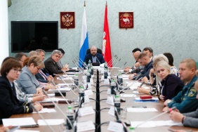Заседание комитета Законодательного Собрания по социальной политике 24 октября 2024 г. 