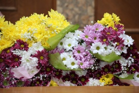 Фото: Юлия Боровикова