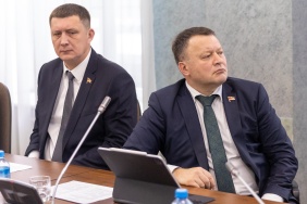 Заседание комитета Законодательного Собрания по социальной политике