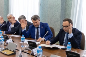 Заседание комитета Законодательного Собрания по бюджету и налогам