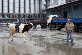 Фото: Юлия Боровикова